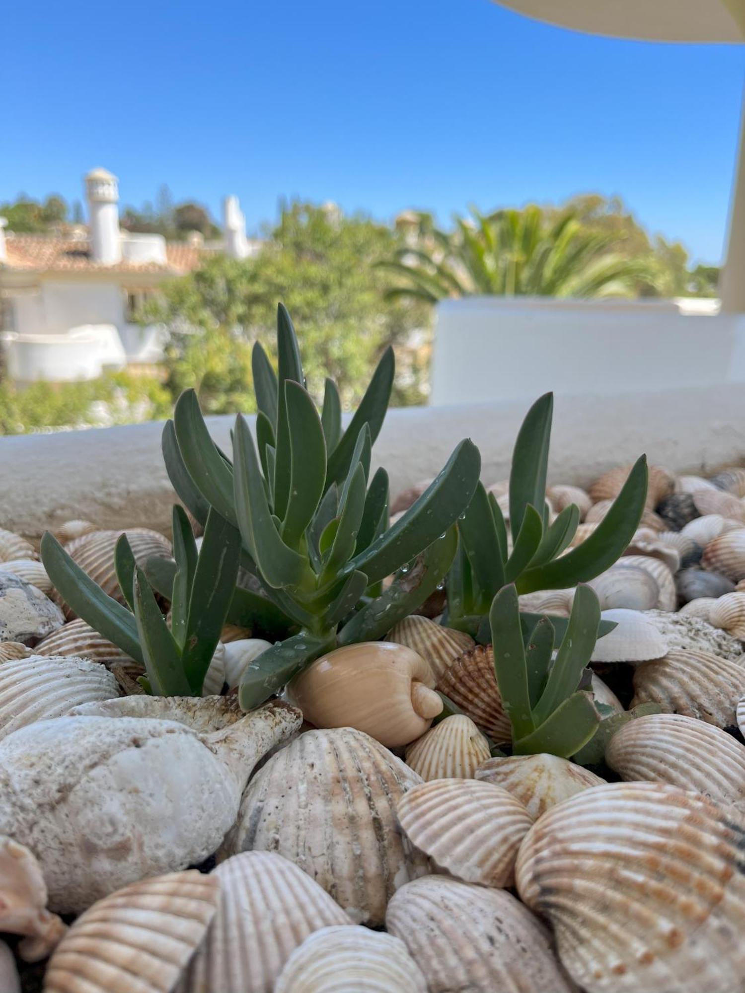Casadeleon - Costadelsol Vacations & Remote Work Sitio de Calahonda Esterno foto